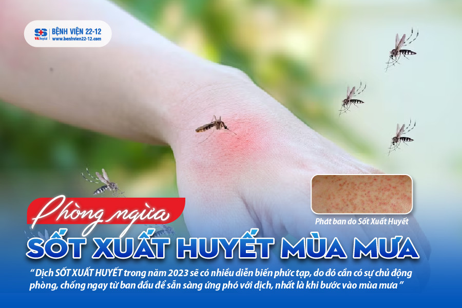 Bệnh viện 22-12 | Phòng ngừa bệnh sốt xuất huyết mùa mưa Bệnh viện 22-12 | Phòng ngừa bệnh sốt xuất huyết mùa mưa