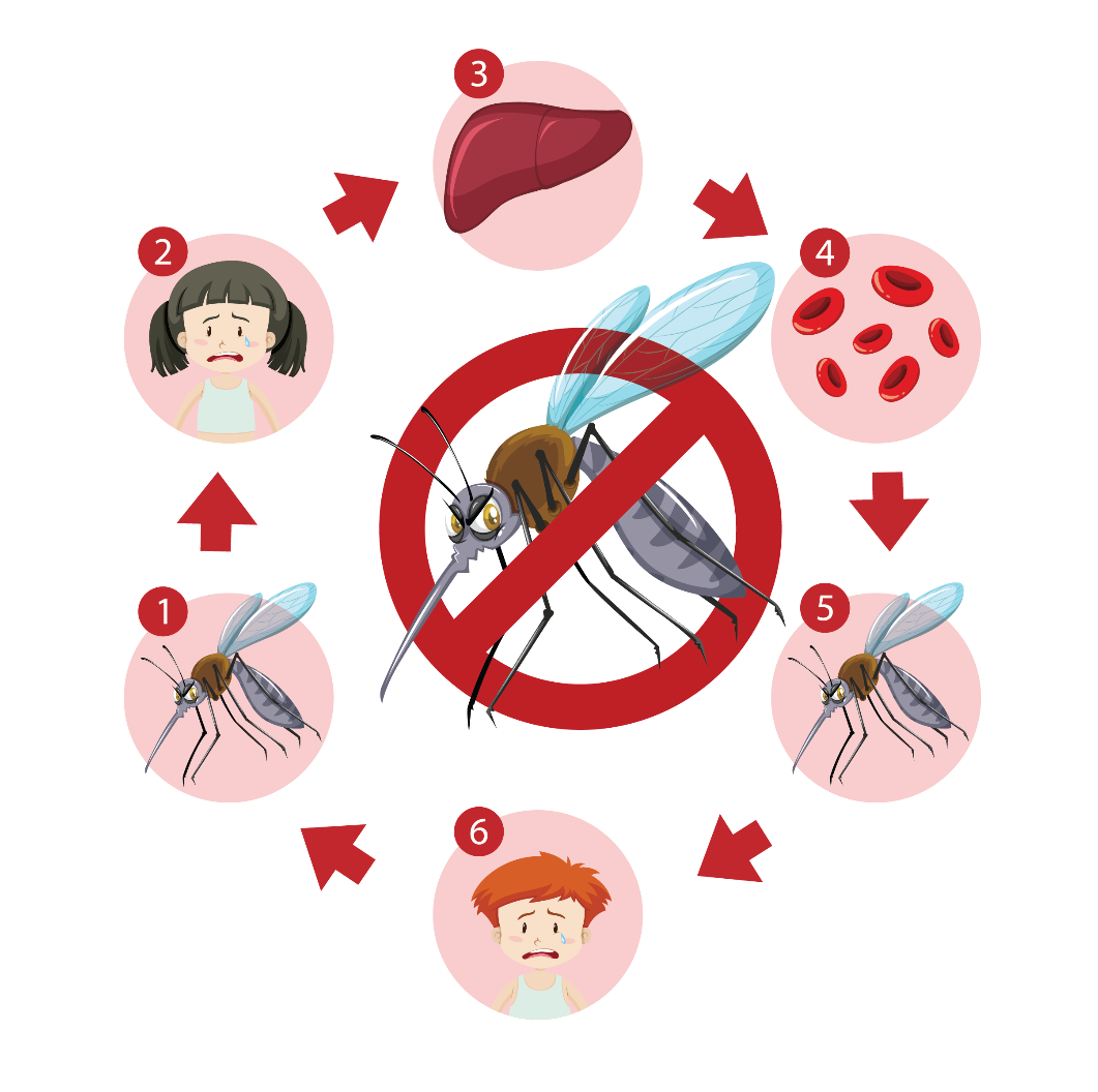 Hưởng ứng Ngày thế giới phòng chống sốt rét 25/4